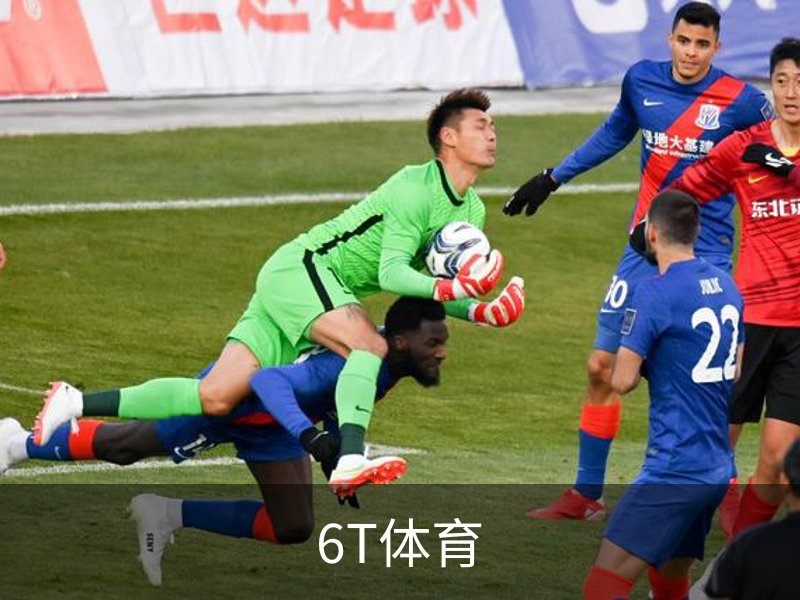 6T体育介绍